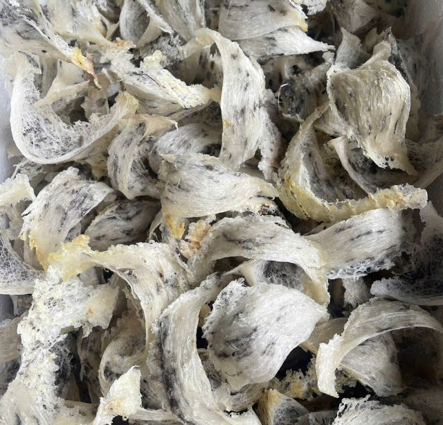 Tuyển Chọn Tinh Túy